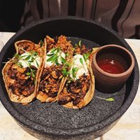   at Hoy in Paris