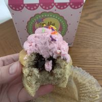Inside vegan Neapolitan  at Little Miss Cupcape in Hyannis
