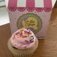 Vegan Neapolitan  at Little Miss Cupcape in Hyannis