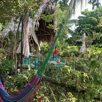 Well loved tropical plants on terrace    at Maracuyá in Flores