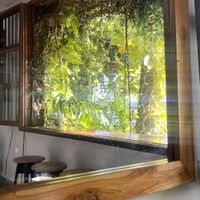 Vibe  at Maracuyá in Flores