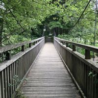 The bouncy bridge  at The Broch Cafe in Strathyre