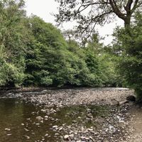 Queen Elizabeth Forest at The Broch Cafe in Strathyre