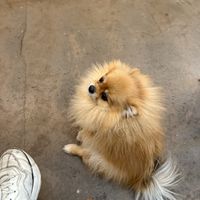   at Buddha-Full - Lonsdale in North Vancouver