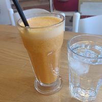  at Stolia in Shkoder