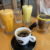   at Stolia in Shkoder