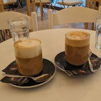  at Stolia in Shkoder