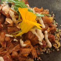 Tagine at Hendersons in Edinburgh