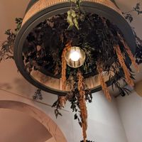  at Hendersons in Edinburgh