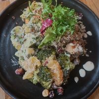 Mix of Salads Main at Hendersons in Edinburgh