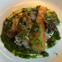   at Fairmont Banff Springs in Banff