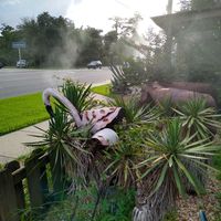 Outside at Mi Mamacita's in Mandeville