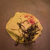 Pipián mole  at Hotel Sin Nombre in Oaxaca