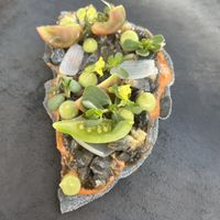 Tostada of some kind.  I’m not that big into tostadas. I would’ve preferred these toppings in a taco or something.  I’d order again. at Hotel Sin Nombre in Oaxaca