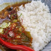 Vegan Curry at Mecha Uma in Avignon
