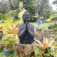 Outside area near seating at Cafe Ono in Volcano