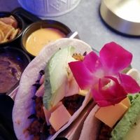  at The Locust in Miami Beach