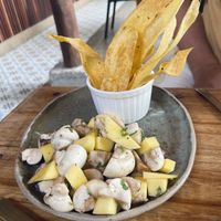   at Gracias Vida in La Guajira