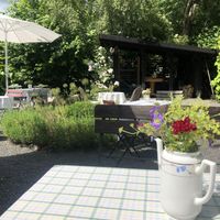 Lush backyard with lavender and roses  at Sassargården Gårdsfik in Onslunda