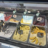 5 vegan flavors   at Sereny Ice Cream in Pula