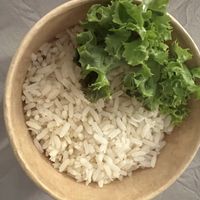 Rice to go  at Go Vegan Cafe in Batumi