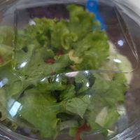  at Go Vegan Cafe in Batumi