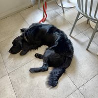   at Loving Hut - Vinohrady in Prague