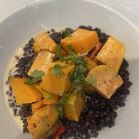 Butternut Squash and Sweet Potato Curry with Venus Rice at The Ship Restaurant & Bar in Eyemouth
