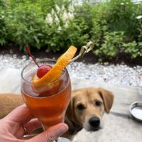 They have a great cocktail menu: patio is dog friendly  at Ye Olde Tavern  in Manchester Center
