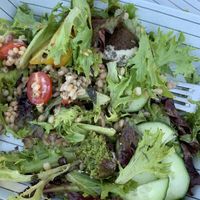 falafel salad  at Dina's Bakery Cafe in Manchester
