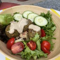 Falafel bowl  at Dina's Bakery Cafe in Manchester