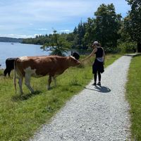   at Joey's Cafe in Ambleside