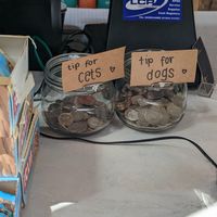  at Joey's Cafe in Ambleside