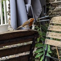  at Joey's Cafe in Ambleside