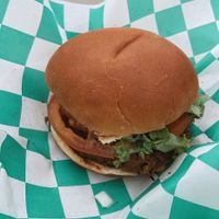 deluxe burger   at Plantology in Gainesville