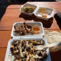   at Plantology in Gainesville