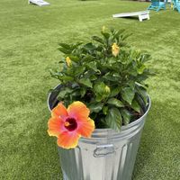 Cute location  at Plantology in Gainesville