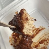   at Plantology in Gainesville