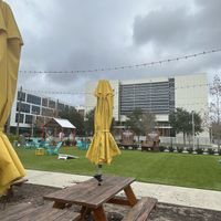   at Plantology in Gainesville