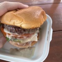   at Plantology in Gainesville