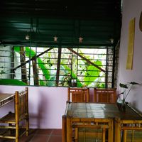 Nhìn ra vườn chuối thật bình yên at May Trang - White Cloud in Hanoi