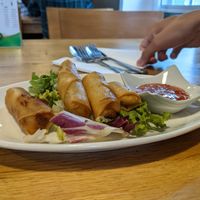 vegan spring rolls at Saphan Thai in Aberystwyth
