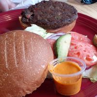 Black bean burg/sandwich  at Bear Appetite Cafe in Jim Thorpe