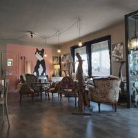   at Di Cane in Gatto in Martignacco