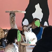 Cutie   at Di Cane in Gatto in Martignacco