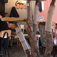   at Di Cane in Gatto in Martignacco