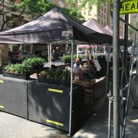 Outdoor seating for LPQ. at Le Pain Quotidien - Madison Ave in New York City