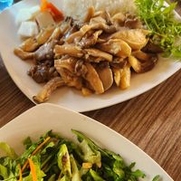  at Ha Noi - Vietnamese Asian Restaurant in Limassol