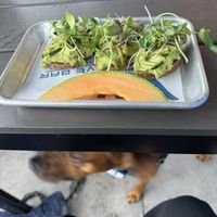 Yummy avocado toast on the patio   at Alua's Thrive Bar in Mount Shasta