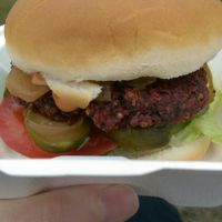 Vegan classic burger. at Mathers Ice Cream in Forres